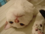 DSC07789