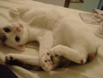 DSC07792