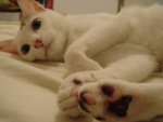 DSC07793