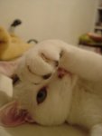 DSC07796