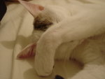 DSC07797
