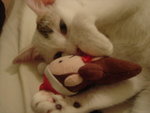 DSC07798