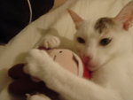 DSC07799
