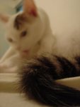 DSC07808