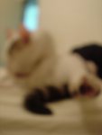 DSC07809