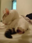 DSC07810