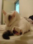 DSC07811