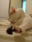 DSC07812