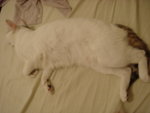 DSC07816