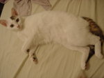 DSC07818
