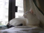 DSC06127