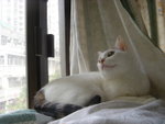 DSC06130