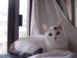 DSC06131