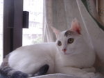 DSC06132