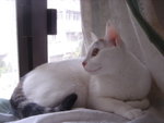 DSC06133