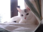 DSC06135