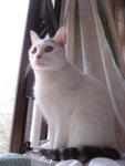 DSC06143