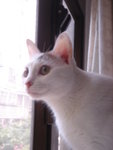 DSC06144