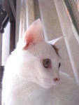 DSC06149