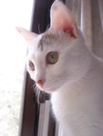 DSC06150