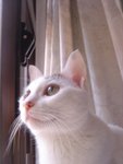 DSC06151