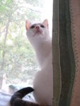 DSC06154