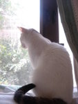 DSC06156