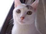 DSC06157