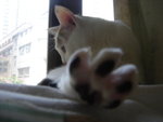 DSC06160