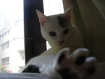 DSC06161