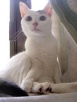 DSC06168