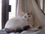 DSC06171