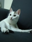 DSC05022