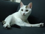 DSC05026