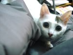 DSC057731