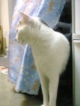 DSC05787