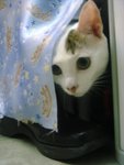 DSC05790