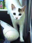 DSC057911