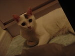 DSC05794