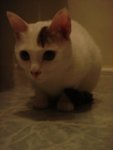 DSC05798