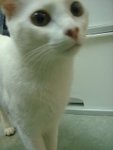 DSC05800