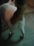 DSC05802