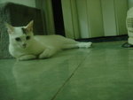 DSC00017