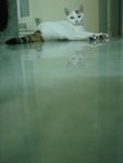 DSC00114