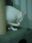 DSC00120