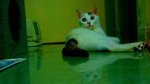 DSC001322