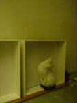 DSC00159