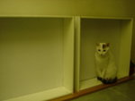 DSC00160