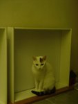 DSC00162