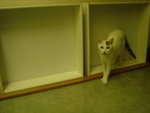 DSC00164